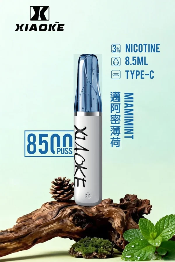 27763104a941bdf31156bc0c11499293-1024x1536.jpg.webp XIAOKE 梟客 8500口 拋棄式電子煙 8.5ml儲油/3%尼古丁鹽/Type-C充電規格版本