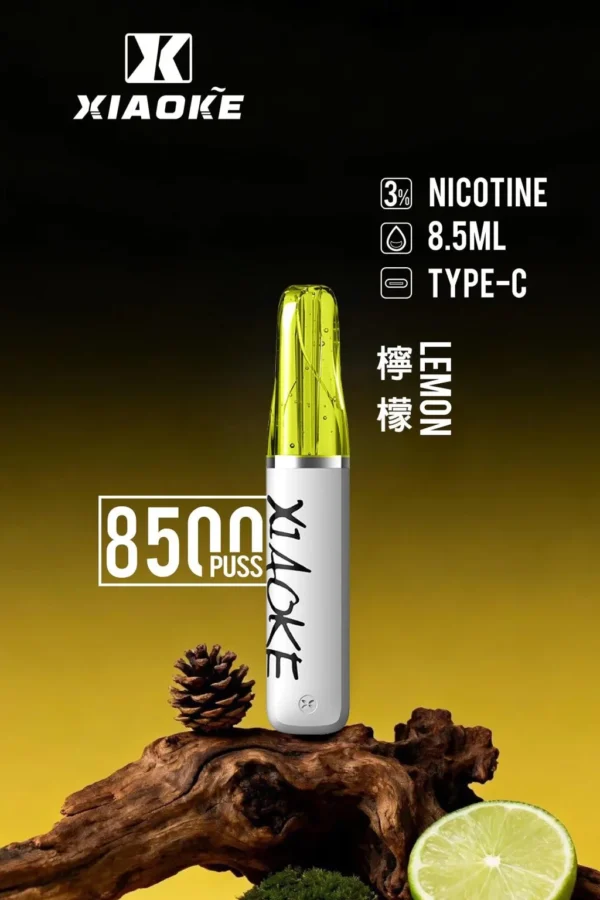 d185d7e28615e84aca893d861a0e04f4-1024x1536.jpg.webp XIAOKE 梟客 8500口 拋棄式電子煙 8.5ml儲油/3%尼古丁鹽/Type-C充電規格版本