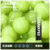 image-283-1.webp LANA ZOLT 8000口 拋棄式電子煙 15ml煙油/冰感水果/Mesh網狀霧化芯/爆發力強/配置可充電式設計