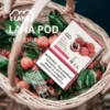 LANA 一代通用煙彈 3顆裝/炫彩特效/升級陶瓷芯/2.5ml容量/純淨口感/通用一代主機